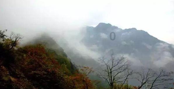 脑洞小老弟无实名认证