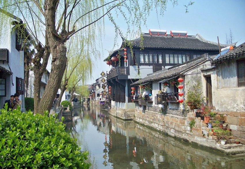 机智问答-向【羊吃什么草料最好】提问,获得智慧答案!