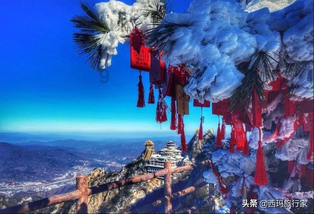 初二历史-专业问答网站,解答您的疑惑